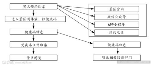 景區(qū)門票預(yù)約流程圖設(shè)計(jì)圖 psd分層素材 psd分層素材