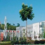 綿陽農業學校2022年簡介、地址在哪,學費多少-學校有專業 單招分數線