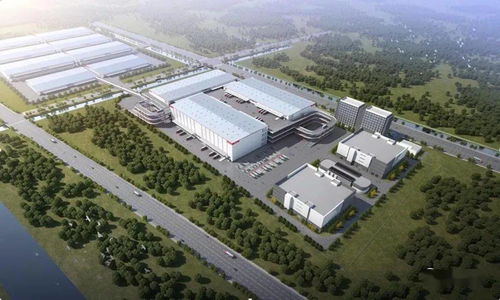 堅持發(fā)展為先 民生為本,以熱血擔當唱響 亭林故里 魅力金千燈