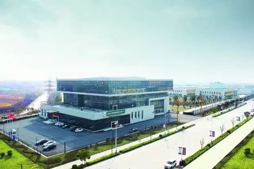 承煦電氣集團丨承馳萬里迎上合 煦越膠澳奏凱歌